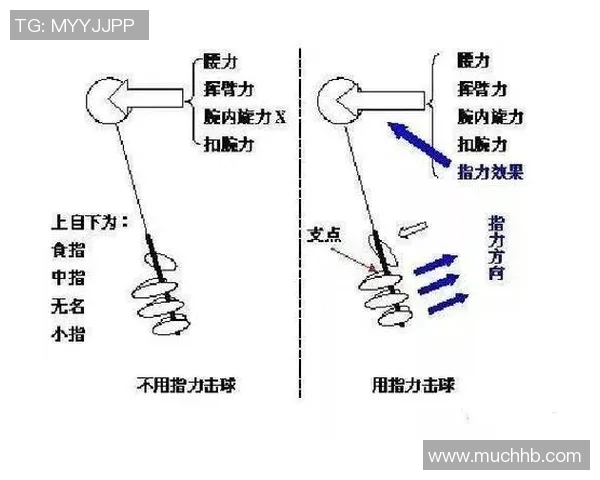 科学羽毛球：力量训练方法