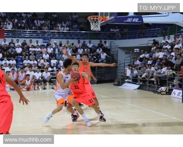 2026篮球团队协作排名:杭州篮球队创新高