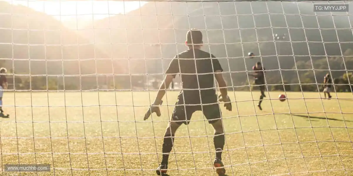 体育盛宴,尽在眼前!🎉